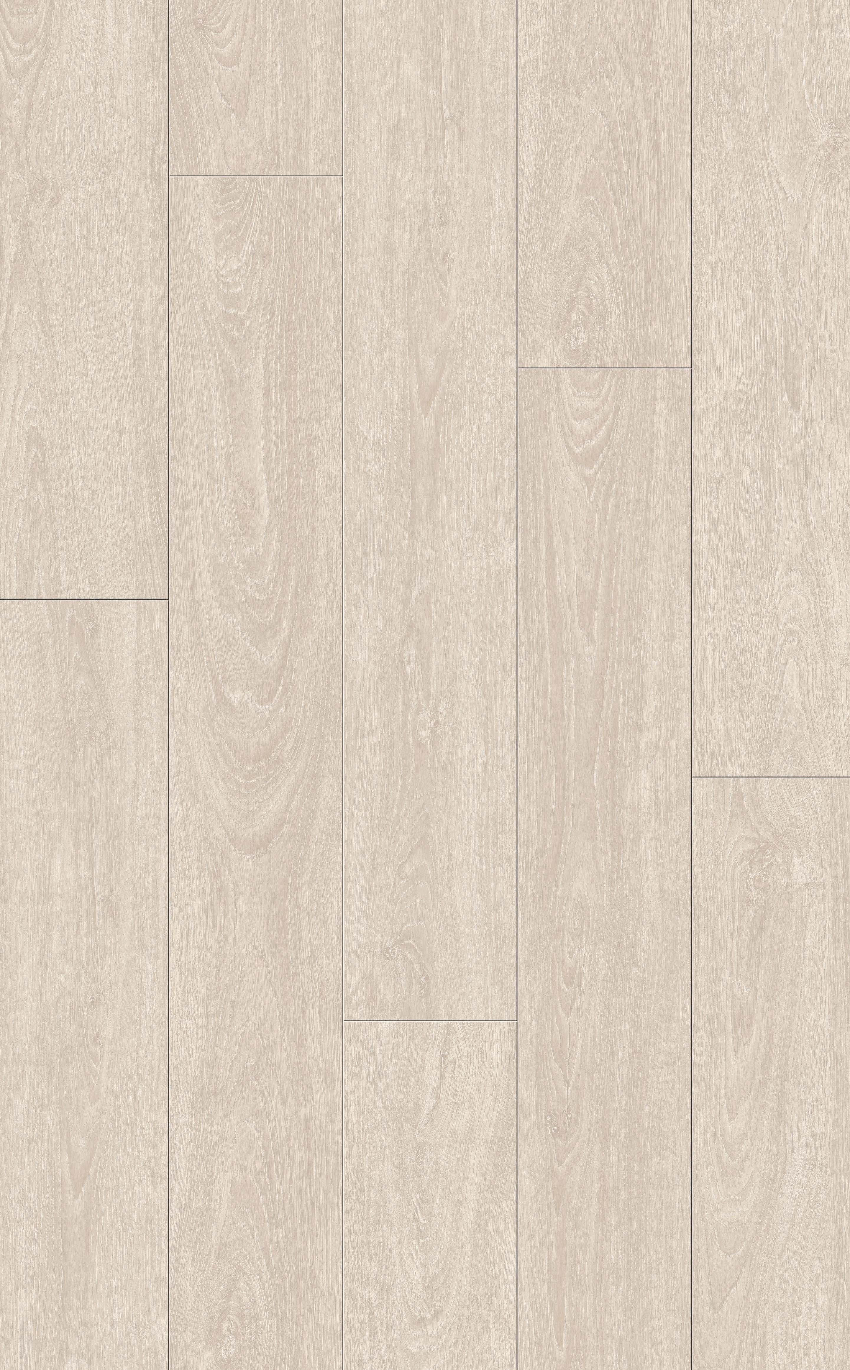 FR003 (multi)-
